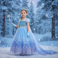 Vestido De Disfraz De Princesa De Elsa De Frozen