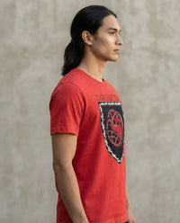 Targaryen House of the Dragon